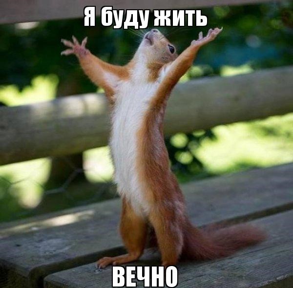 эмблема